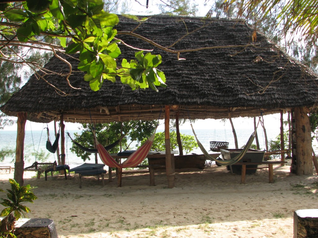 hang out area (with books)