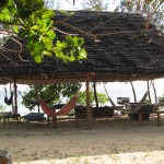 hang out area (with books)